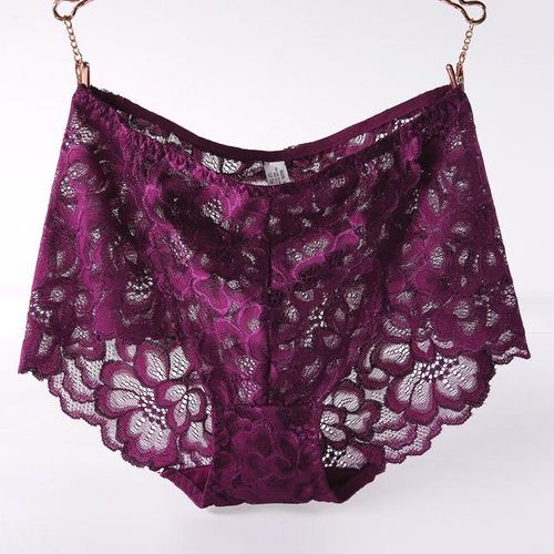 Generic High Waist Lace Plus Size Panties Women Floral Transparent