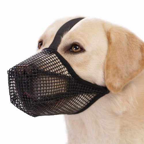 Dog mouth guard price sale
