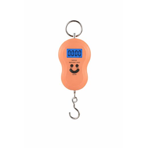 Digital Hanging Weighing Scale 50KG Portable With Metal Hook