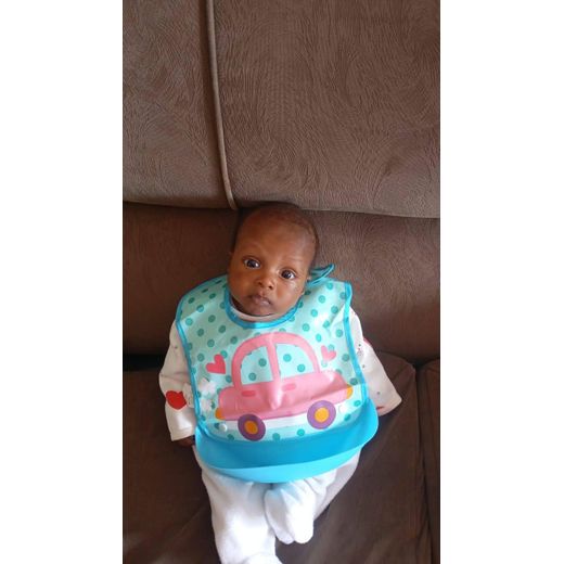 Fashion waterproof baby bib with a car print and a silicone catch-all pocket. - image 3