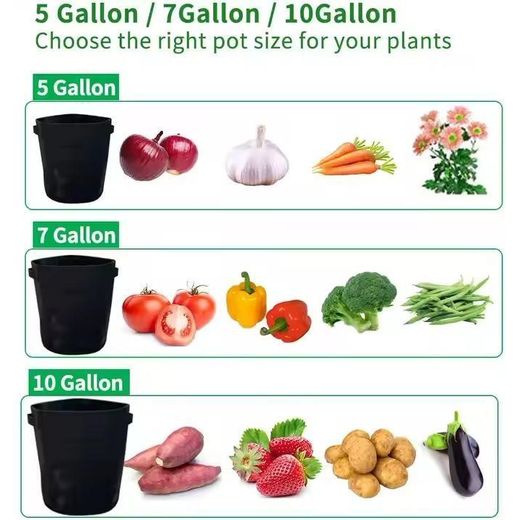 Generic Multi-Size Gardening Grow Bags (5/7/10/15 Gallon) for Potatoes, Carrots, Herbs & More - image 2