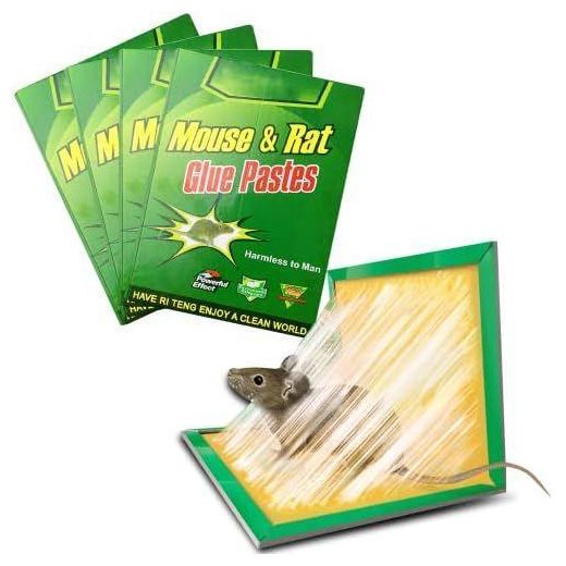 Generic 5pcs Mouse & Rat Glue Traps Strong Adhesive Pest Catcher Boards – Non-Toxic Sticky Traps for Rats, Mice & Crawling Insects Indoor Outdoor Use - image 2