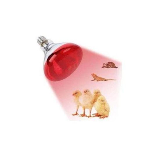 Generic Red Infrared Heat Lamp Bulb for Poultry, Chicks, and Livestock Warming
