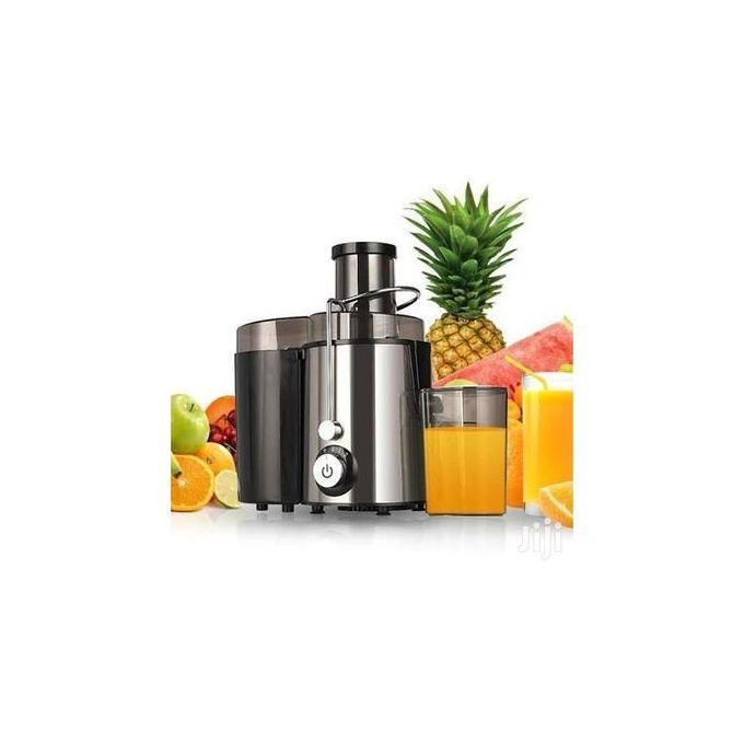 Raf slow juicer Blender - Image 2