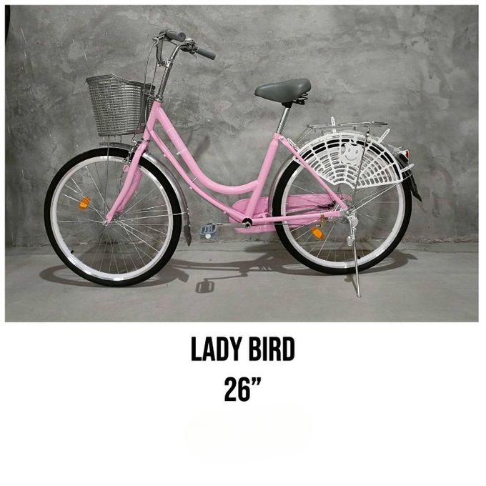 Adult ladies bike online