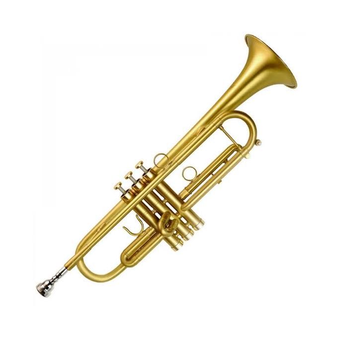Best professional new arrivals cornet