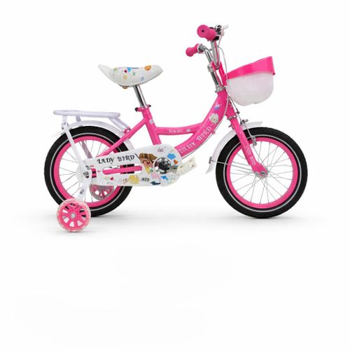 Children Bike for Ages 24 Years