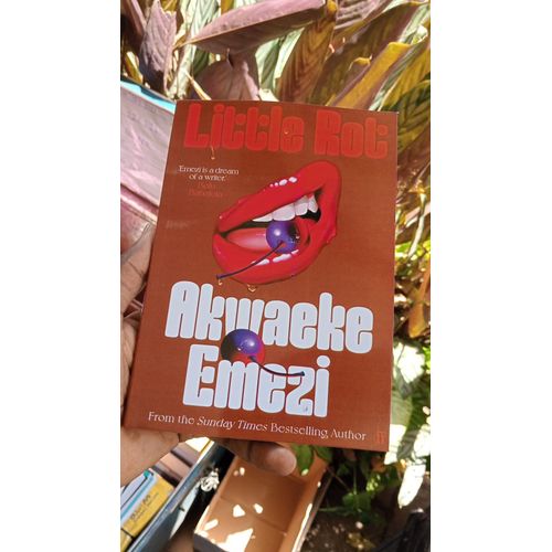 Little Rot Novel by Akwaeke Emezi
