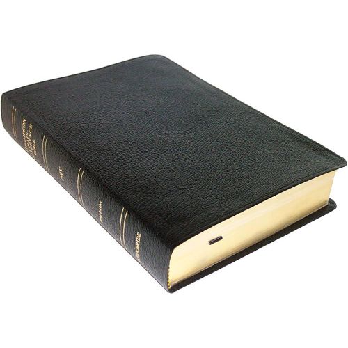 Thompson Chain Reference Study Bible Niv.