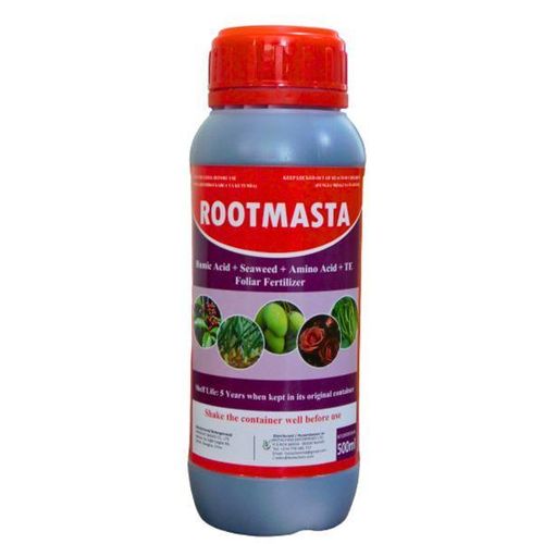 Rootmasta
