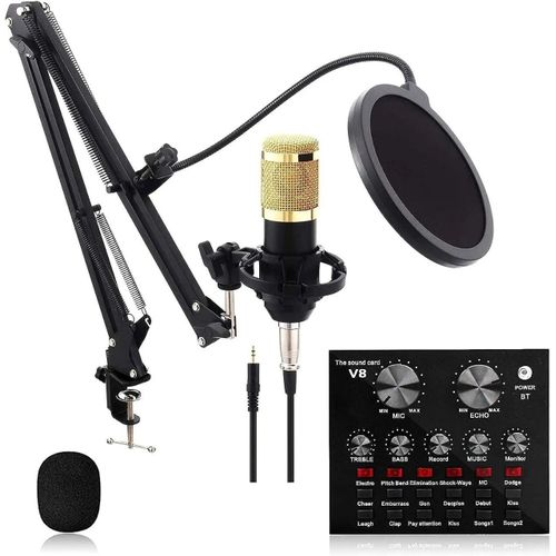 BM800 Studio Mic Kit with V8 Sound Card for Singers