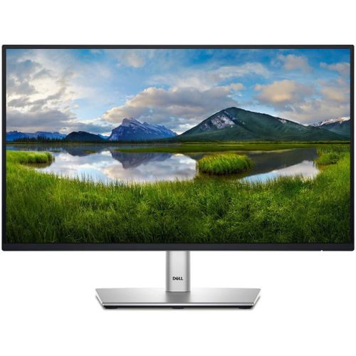 24 Monitor - P2422H - Full HD 1080p, IPS Technology, ComfortView Plus Technology