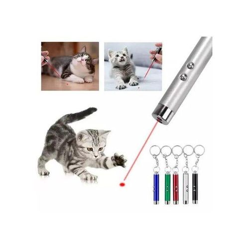 3 IN 1 LASER POINTER PEN FLASHLIGHT KEYCHAIN SOS CATS/ DOGS TOY TRAINING