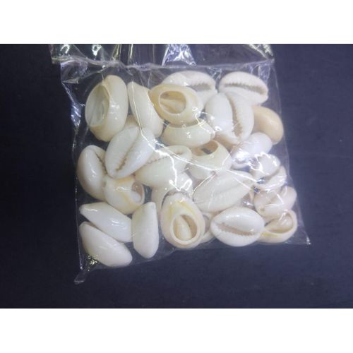 Cowrie Shell For Hair Accessories/Jewelry