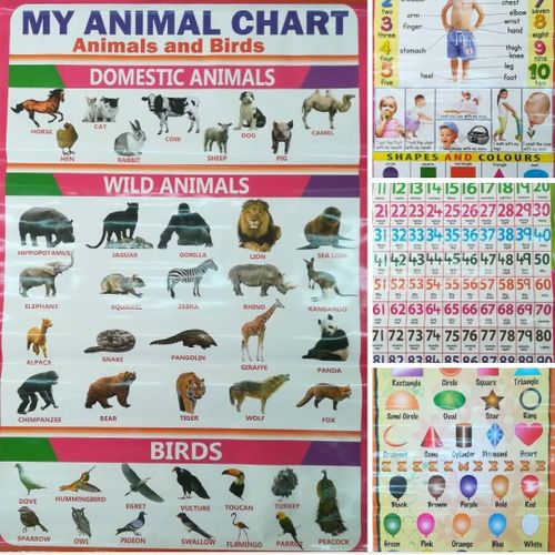 5pcs Kids Learning Charts-Alphabets,Numbers,Shapes,Colours